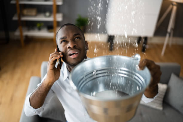 Best Carpet water damage restoration  in Benson, NC