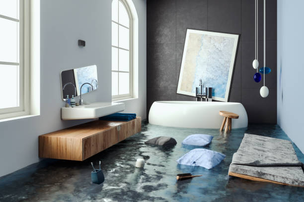 Best Professional water damage repair  in Benson, NC