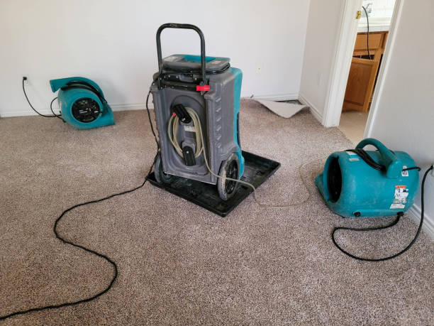 Best 24/7 water damage repair  in Benson, NC