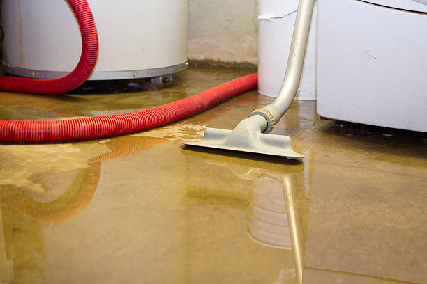 Best Flood restoration services  in Benson, NC