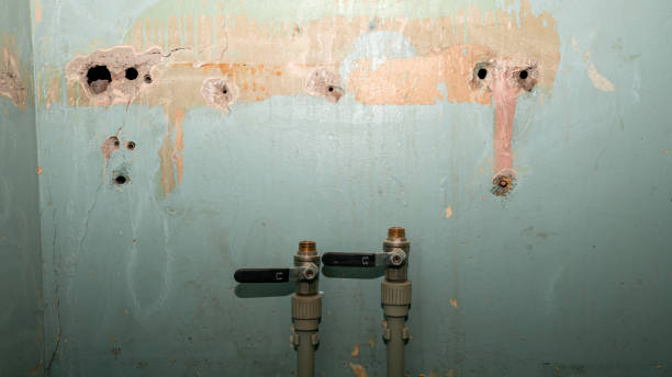 Best Ceiling water damage repair  in Benson, NC